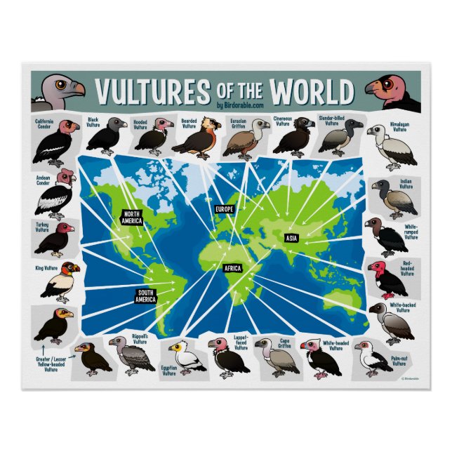 Póster Vulturas del Mapa Mundial (Anverso)