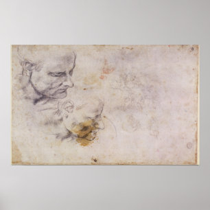 Póster W.60 Esbozo de una cabeza masculina, en dos posici