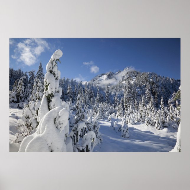 Póster WA, Alpine Lakes Wilderness, cuenca del lago Snow (Frente)