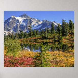 Póster WA, Área Recreativa Heather Meadows, Mt. 2
