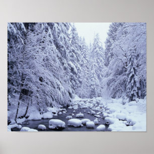 Póster WA, Bosque Nacional Monte Baker-Snoqualmie,