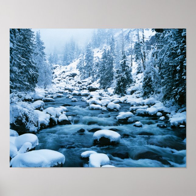 Póster WA, Bosque Nacional Wenatchee, Cascada (Frente)