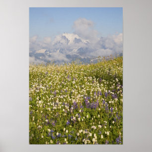 Póster WA, Mt. Baker Wilderness, Mt. Shuksan y