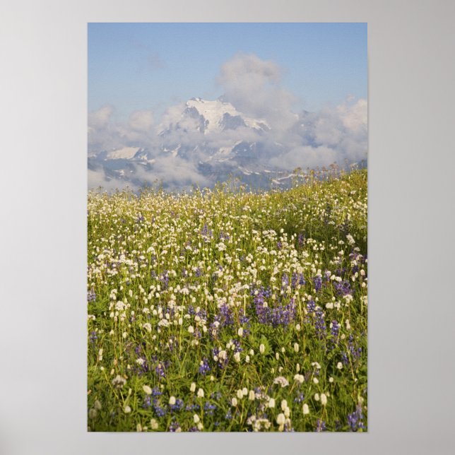 Póster WA, Mt. Baker Wilderness, Mt. Shuksan y (Frente)