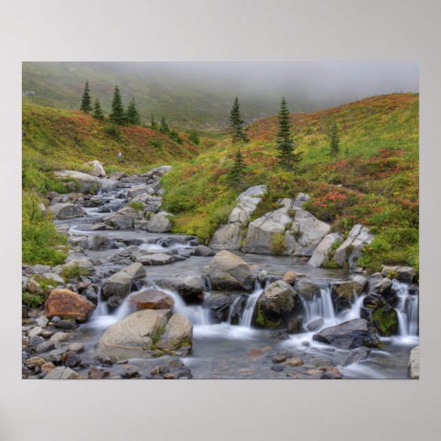 Póster WA, Parque Nacional del Monte Rainier, Edith Creek (Frente)