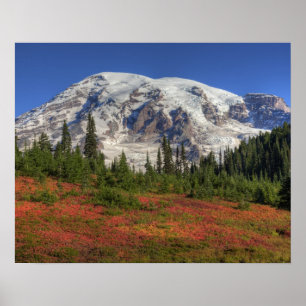 Póster WA, Parque Nacional Mt. Rainier, Paradise Valley