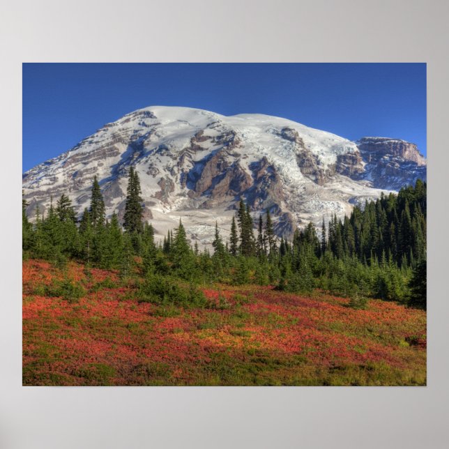 Póster WA, Parque Nacional Mt. Rainier, Paradise Valley (Frente)