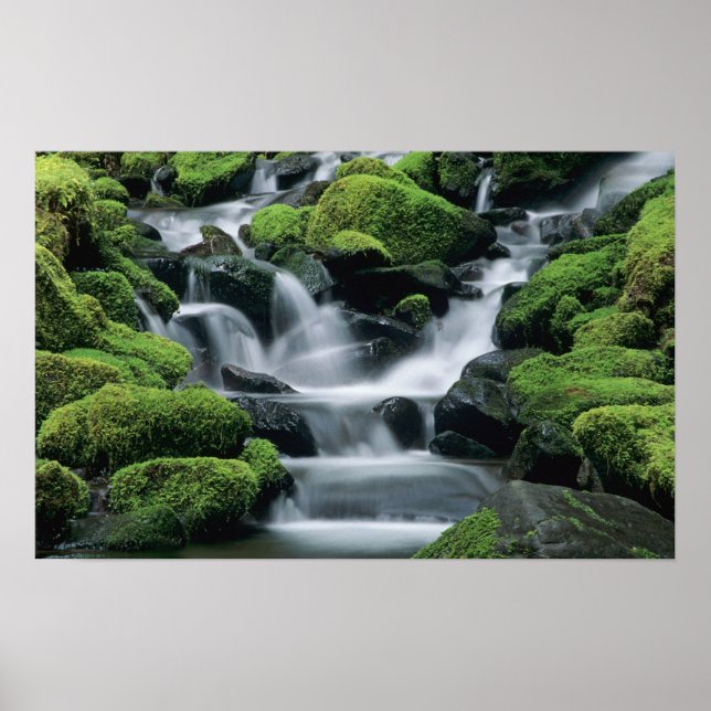 Póster WA, Parque Nacional Olympic, Valle de Sol Duc, arr (Frente)