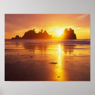 Póster WA, PN Olympic, playa Shi Shi al atardecer, Punto