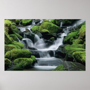 Póster WA, policía olímpica, Valle Sol Duc, arroyo con