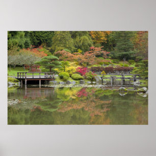 Póster WA, Seattle, Arboreto del Parque de Washington, 3