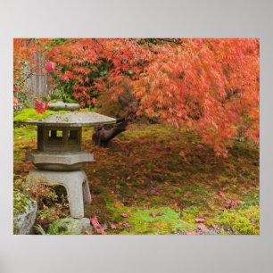 Póster WA, Seattle, Arboreto del Parque Washington, Japon