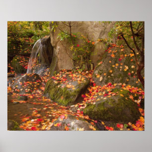 Póster WA, Seattle, Arboretum Washington Park, Japón