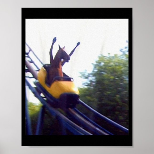 Póster Wacky Horse Riding Roller Coaster Meme Internet Fu (Frente)