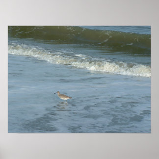 Póster Wader