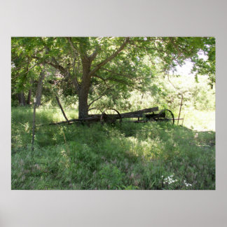 Póster Wagon olvidado