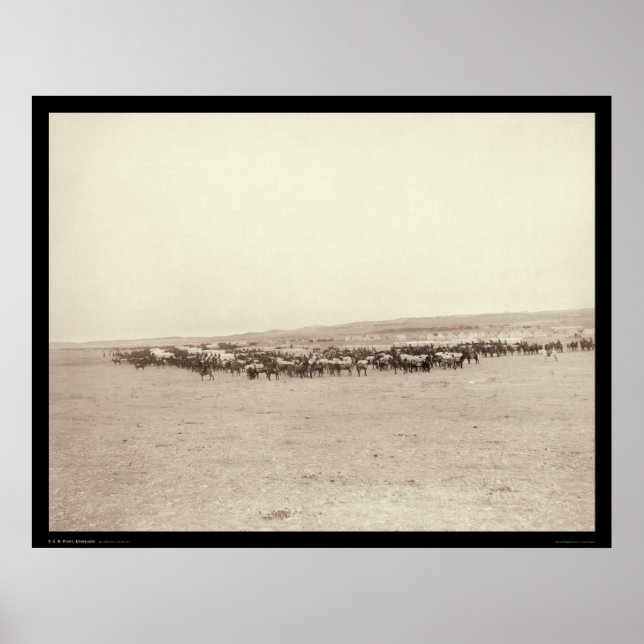 Póster Wagons de suministros y Mules Pack SD 1887 (Frente)