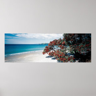 Póster Waiheke - Playa Onetangi