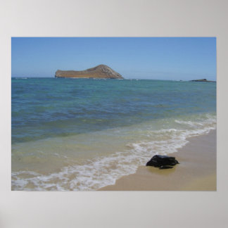 Póster Waimanalo Beach