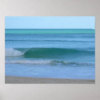 Póster Waimanalo Blues