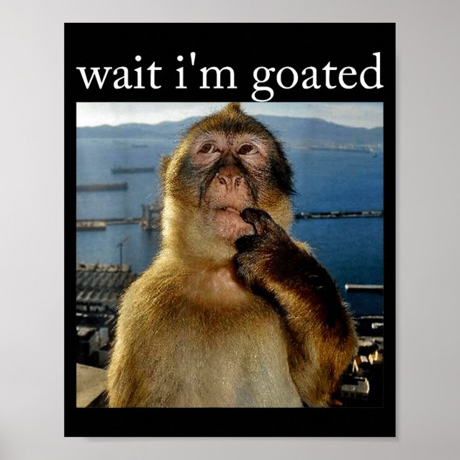 Póster Wait I'm Goated Funny Thinking Monkey Meme Brainro (Frente)
