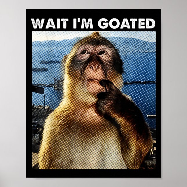 Póster Wait I'm Goated Funny Thinking Monkey Meme Brainro (Frente)