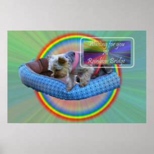 Póster Waiting for you at Rainbow Bridge