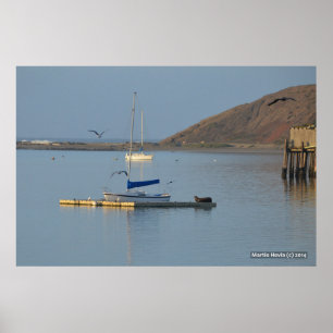 Póster Wakes Dock Seal