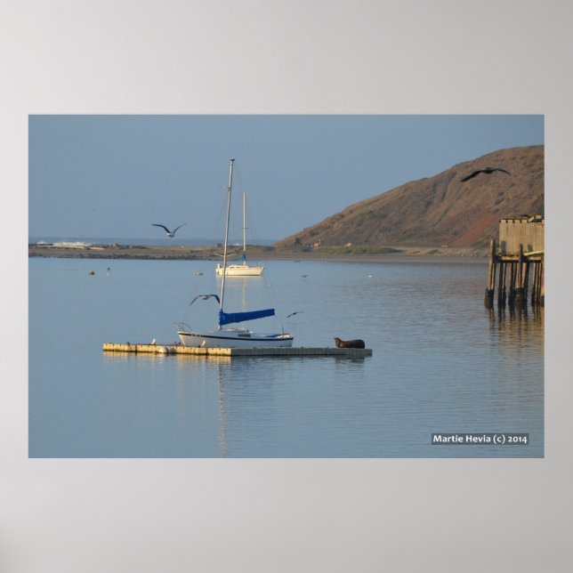 Póster Wakes Dock Seal (Frente)