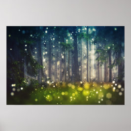 Póster Wald, Bäume auf Waldlichtung, Dämmerung