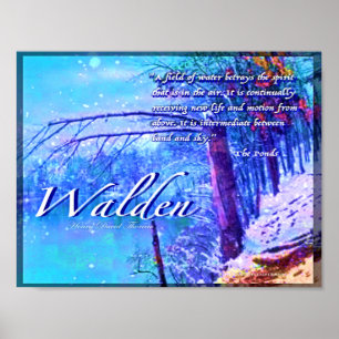 Póster Walden