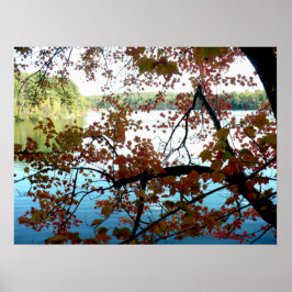 Póster Walden Pond a través de hojas de otoño