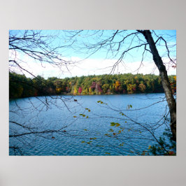 Póster Walden Pond en otoño