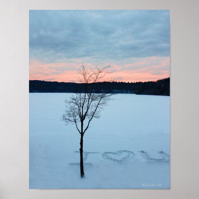 Póster Walden Pond I Love U: poster de amor invernal (Frente)