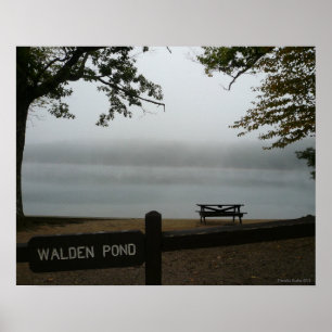 Póster Walden Pond  Poster - Contemplative Mist