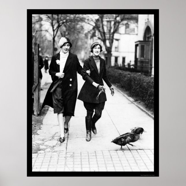 Póster Walking Ducks en Washington, DC 1926 (Frente)