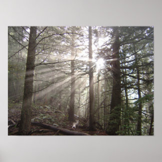 Póster Walking through the clouds