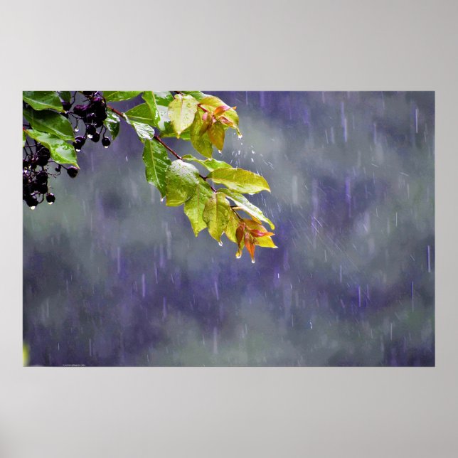 Póster Wall Art (Frente)