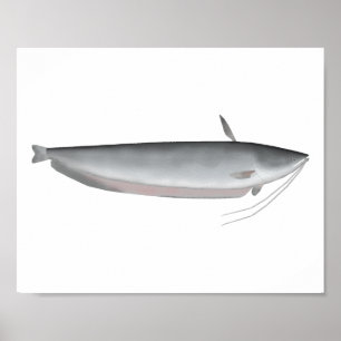 Póster Wallago
