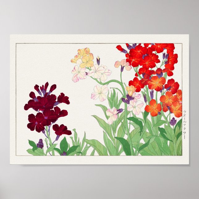 Póster Wallflower by Tanigami Konan (Frente)