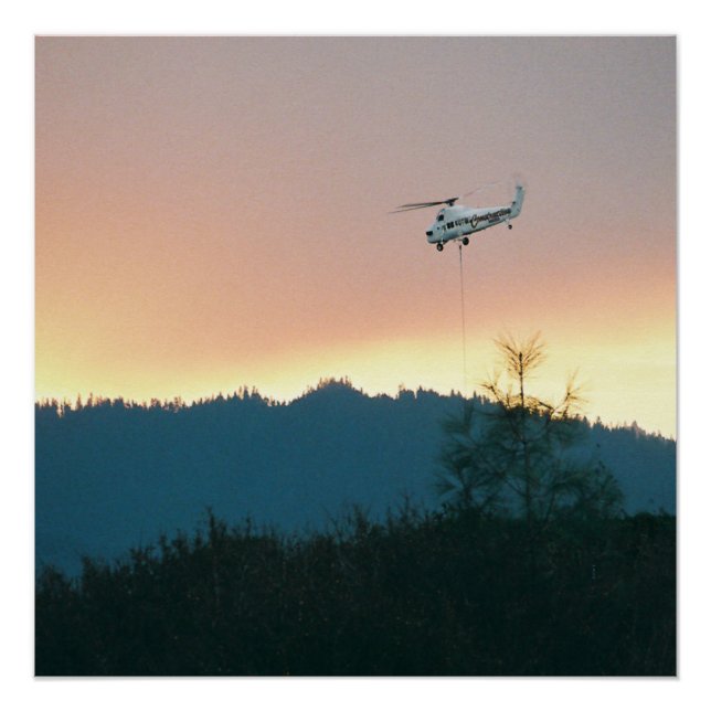 Póster Wallow Fire de 2007... (Anverso)