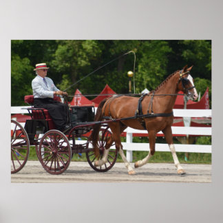 Póster Walnut Hill Carriage Driving Horse Show