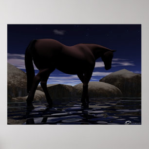 Póster Wandering