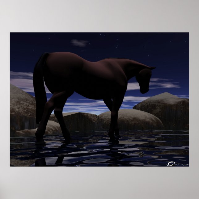 Póster Wandering (Frente)