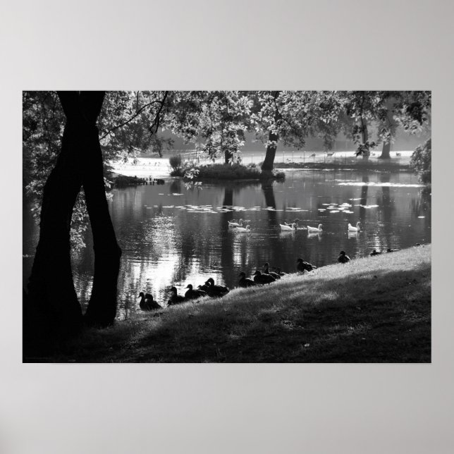 Póster Wapa de Park Life (Frente)