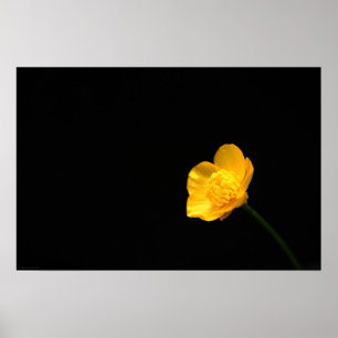 Póster Wapcn de flor de mariposa