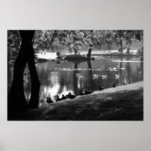 Póster Wapcn de Park Life