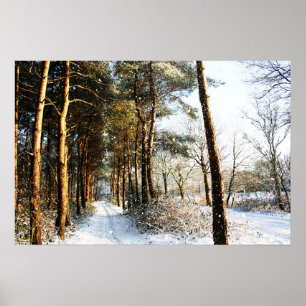 Póster Wapcnm de la escena de nieve forestal