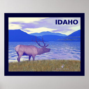 Póster Wapiti (Elk) Junto Al Lago
