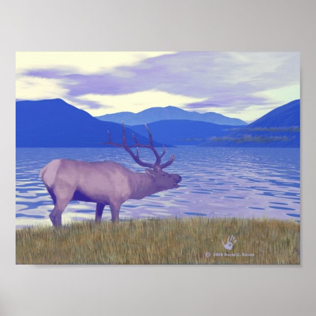 Póster Wapiti (Elk) Junto Al Lago (Frente)